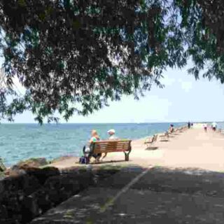 Business of the Month: Interview with Amy Hicks, ProtectYourBubble.com