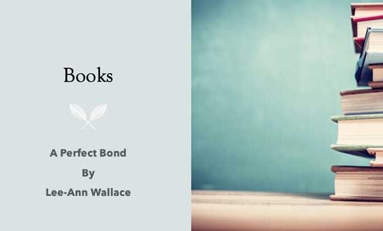 Contest and Spotlight: A Perfect Bond