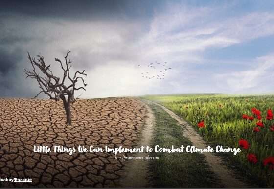 Little Things We Can Implement to Combat Climate Change